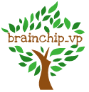brainchip_vp